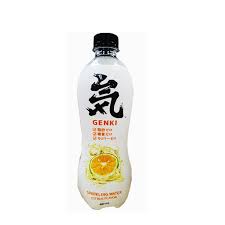 GENKI ORANGE FLAVOR 480ML